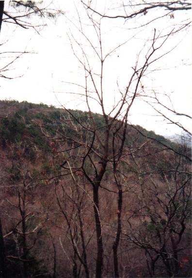 Arkansas Ozarks Picture #3