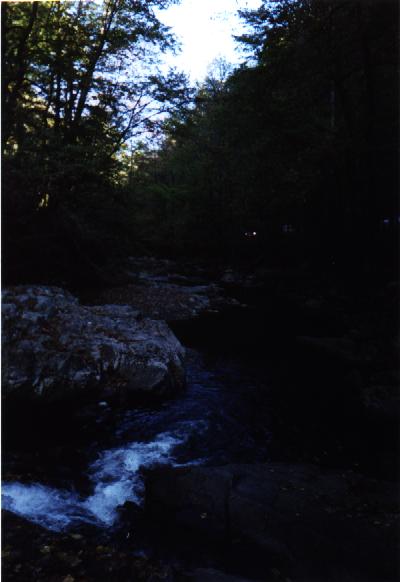 Great Smoky Mountains National Park Picture #10