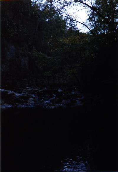 Great Smoky Mountains National Park Picture #11