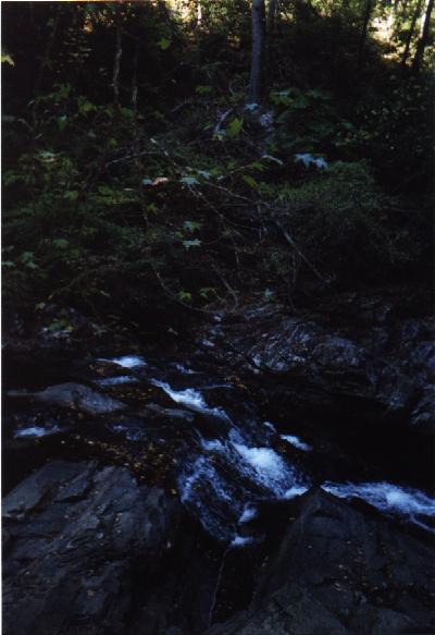 Great Smoky Mountains National Park Picture #9